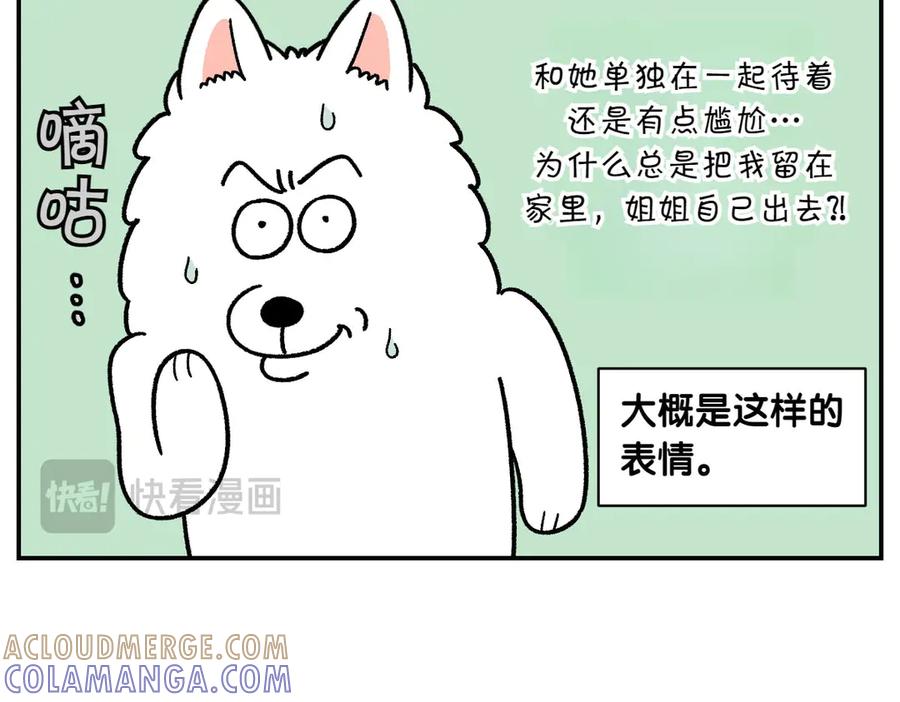 《我的狗子叫棉花》第58话 家政服务 第49页