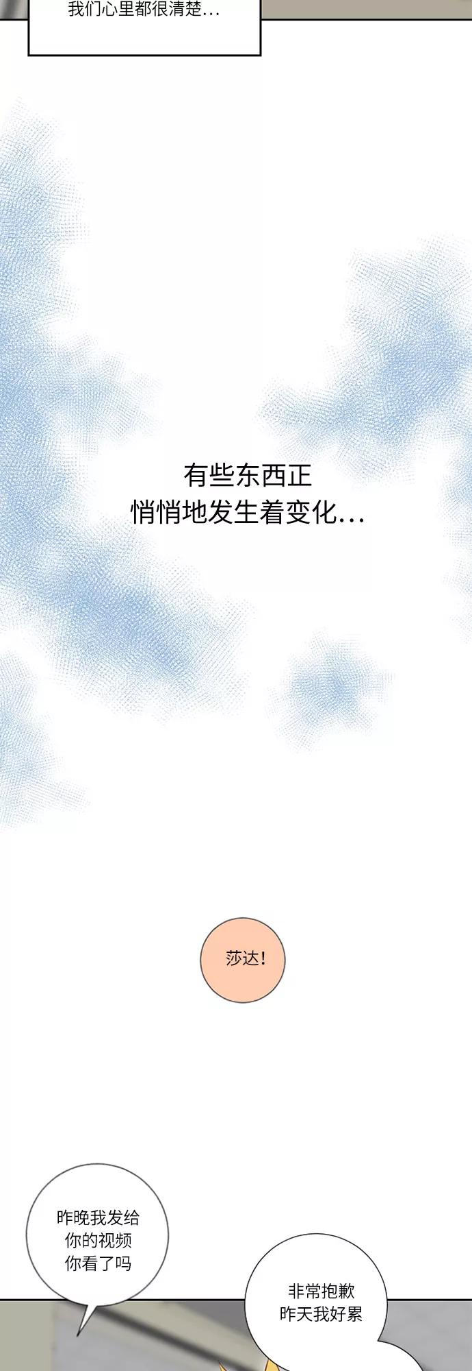 《那年夏天》第十六章 追求我吗 第4页