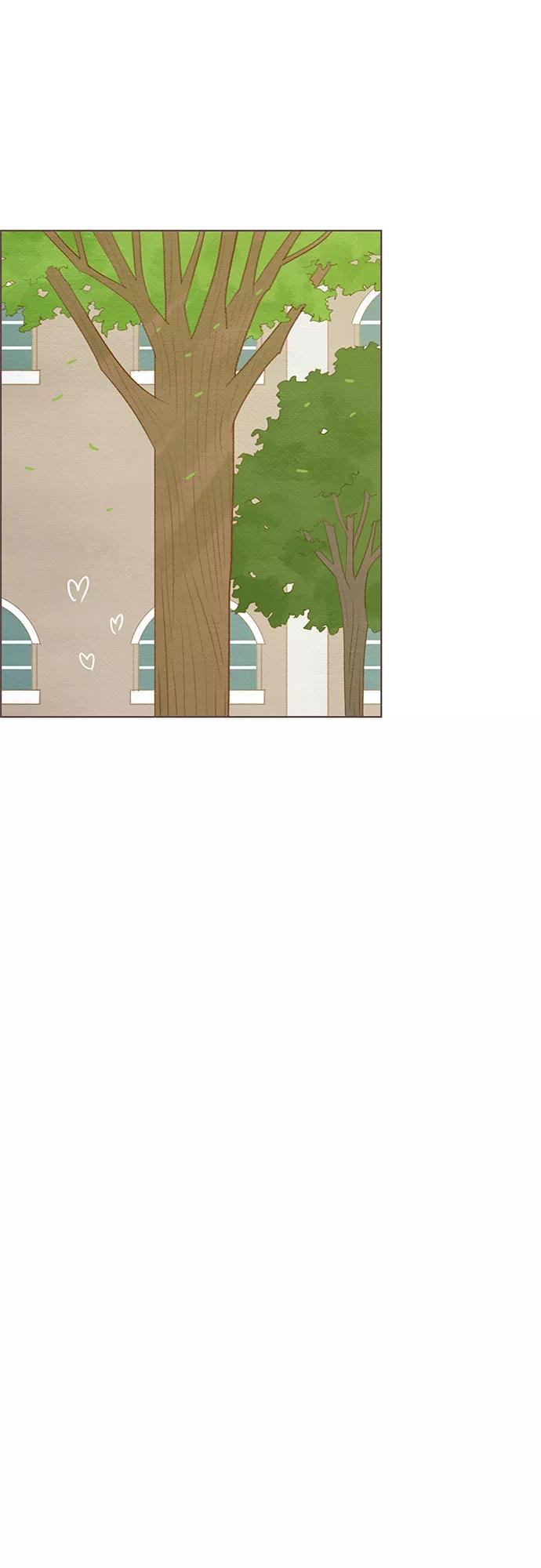 《那年我们》完结篇 第48页