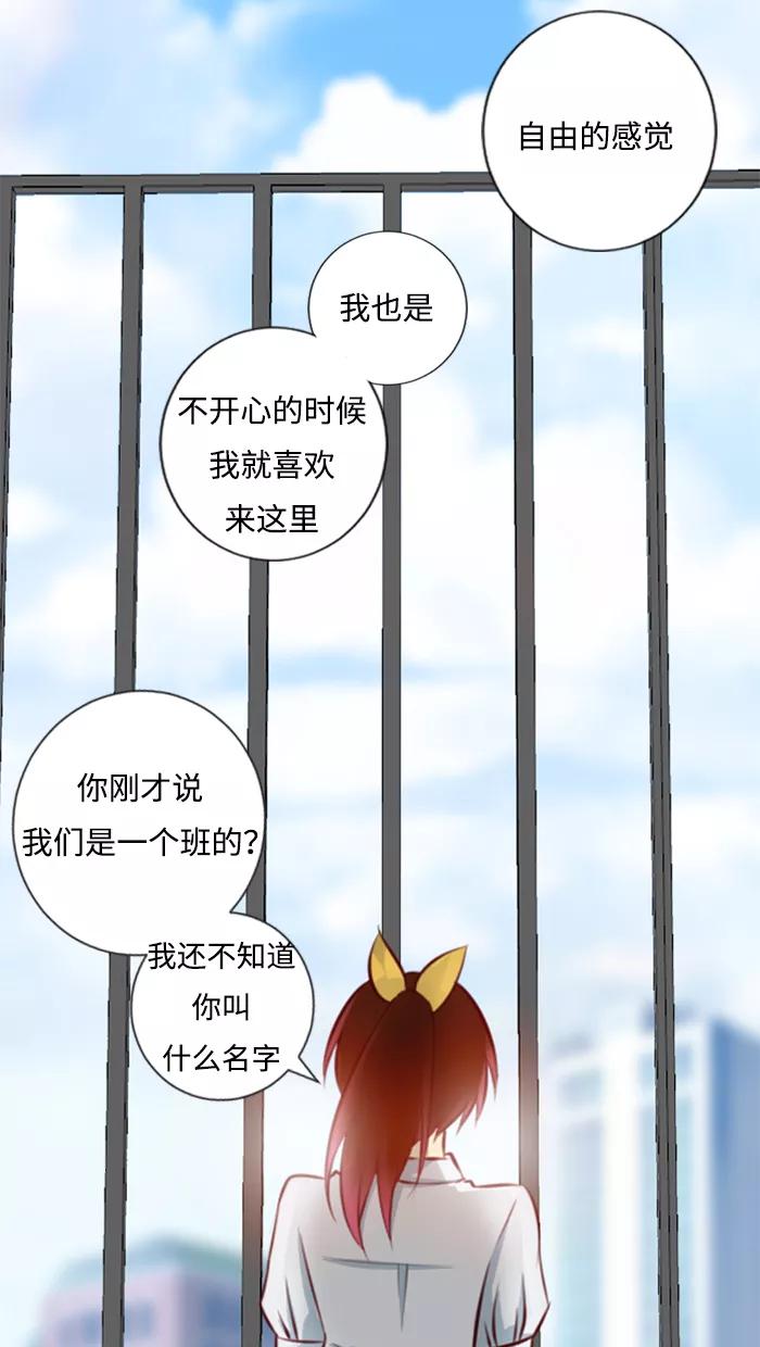 《那年夏天》第三章 她就像一道阳光 第8页
