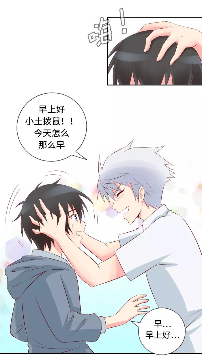 《那年夏天》第六章 重要的礼物 第4页