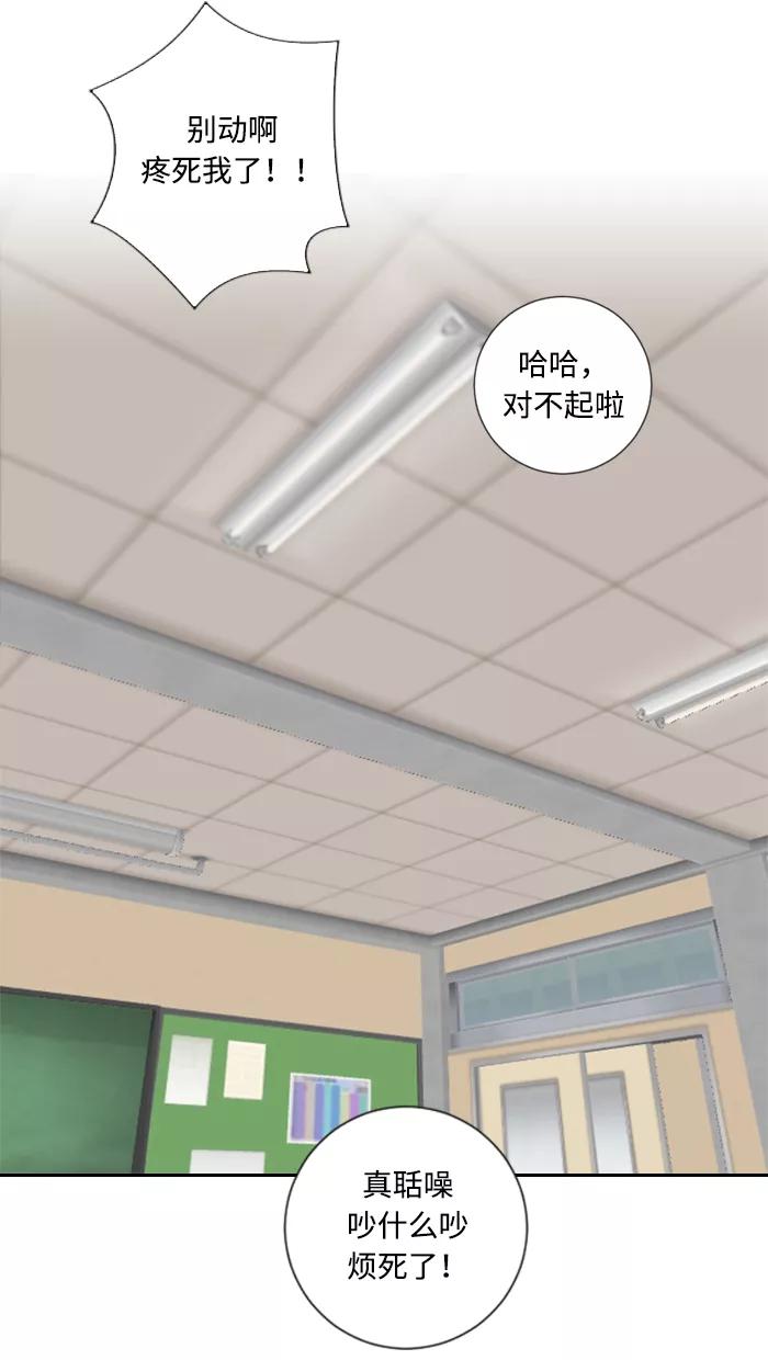 《那年夏天》第六章 重要的礼物 第6页