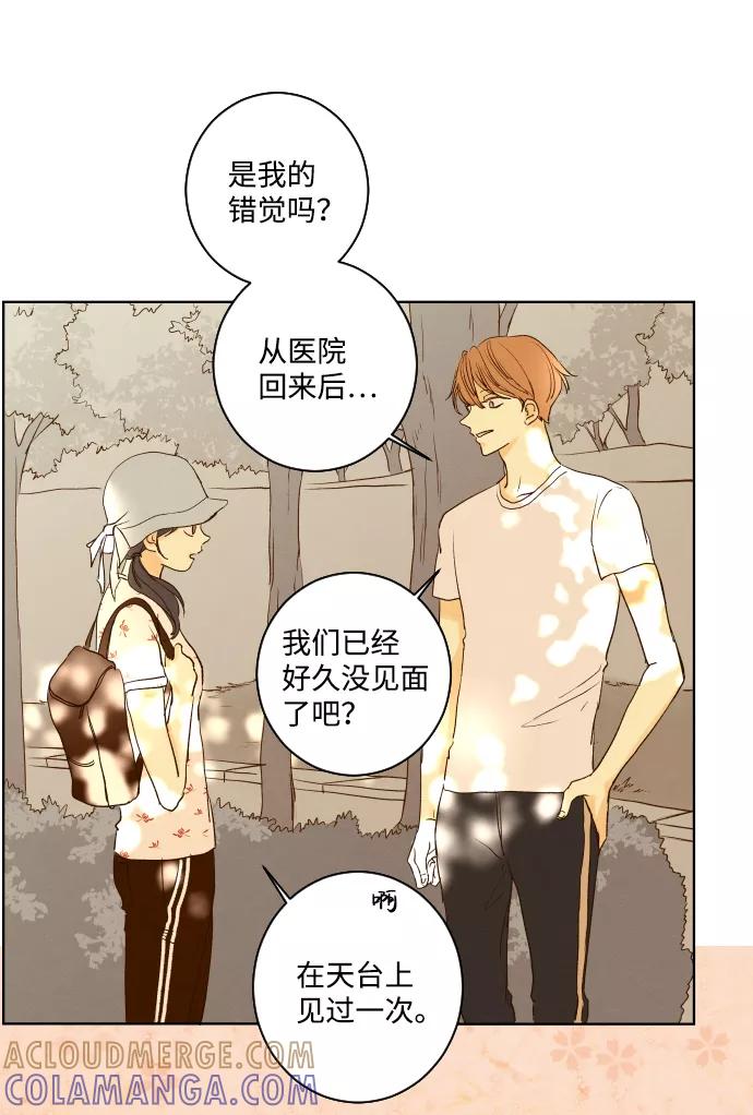 《那年夏天的我们》ep.110 第19页