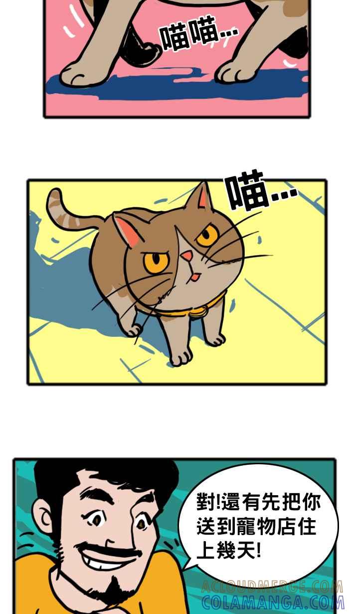 《男人的浪漫》Ep_21 责任的浪漫 第5页