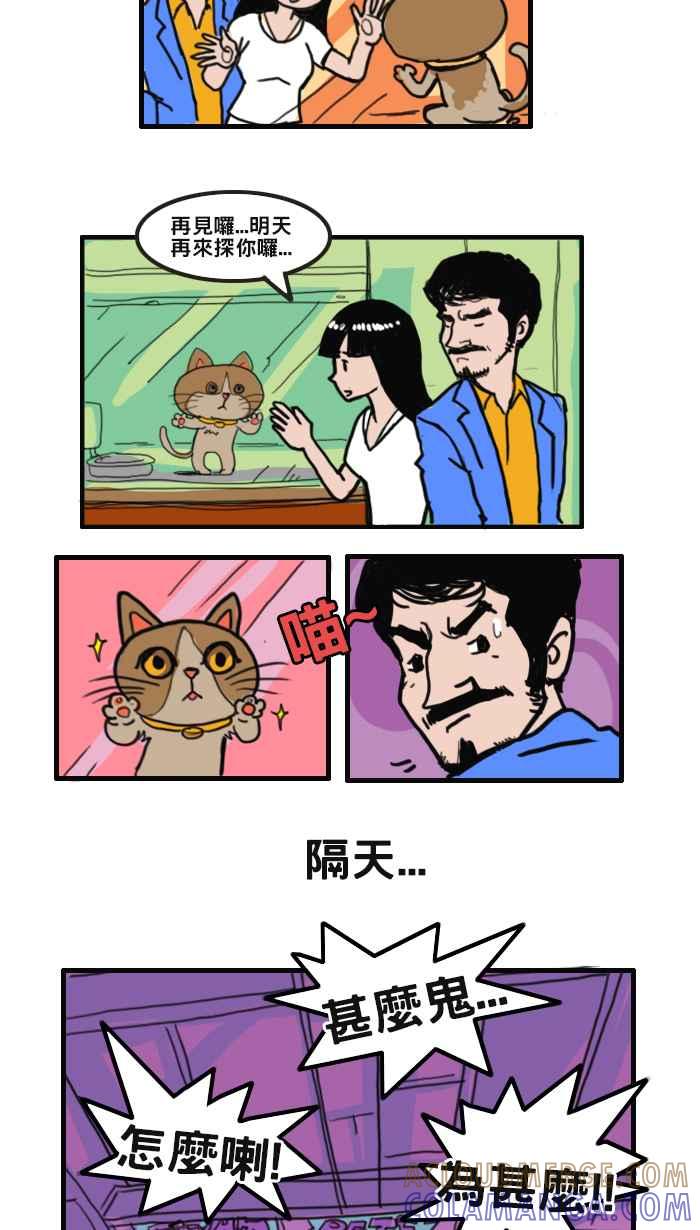 《男人的浪漫》Ep_05 猫咪的浪漫 第3页