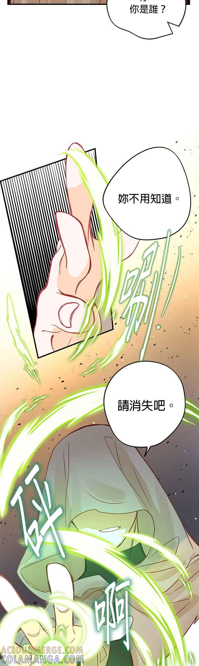 《温柔公爵的祕密》第62话 第31页