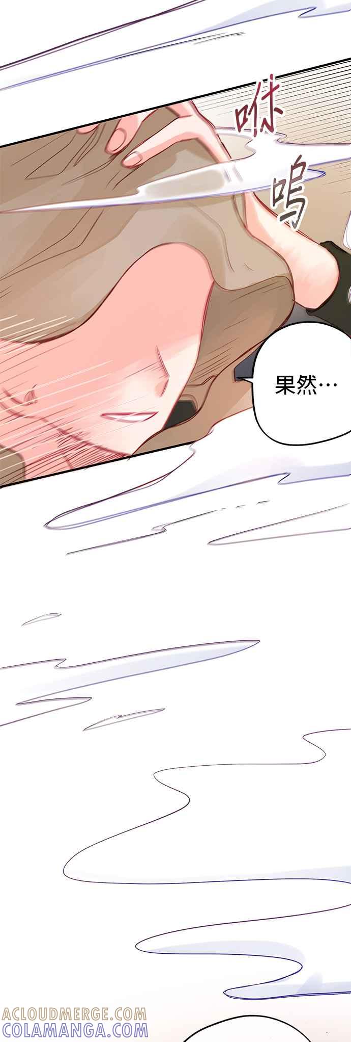 《温柔公爵的祕密》第63话 第11页