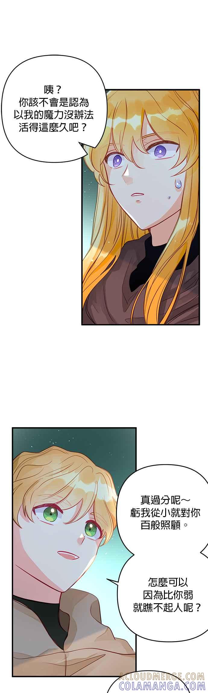 《温柔公爵的祕密》第63话 第19页