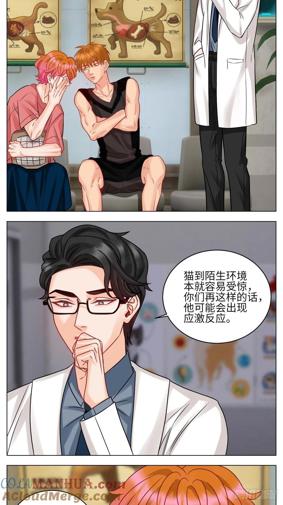男生宿舍303 狮子（带局长）割蛋记 第15页