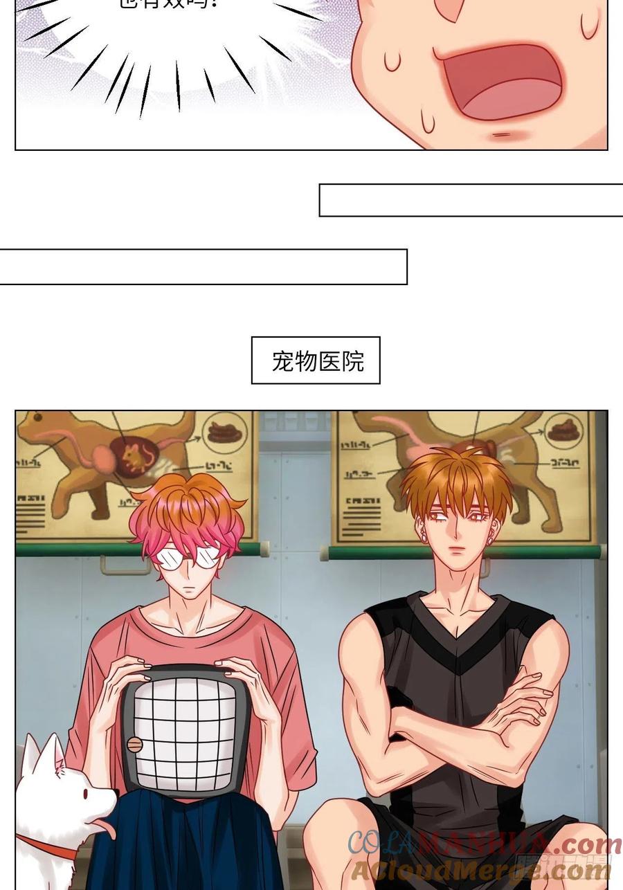 男生宿舍303 狮子（带局长）割蛋记 第11页