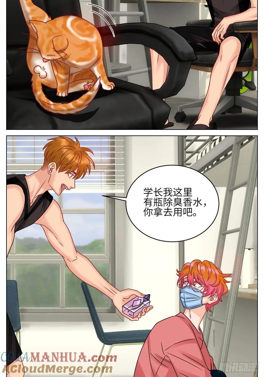 男生宿舍303 狮子（带局长）割蛋记 第5页
