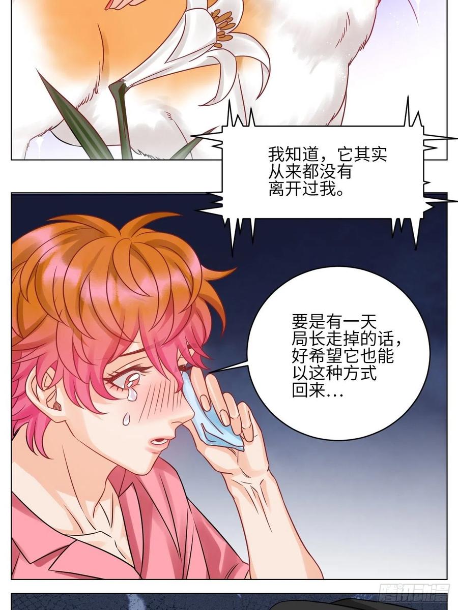 男生宿舍303 名侦探狮子 第14页