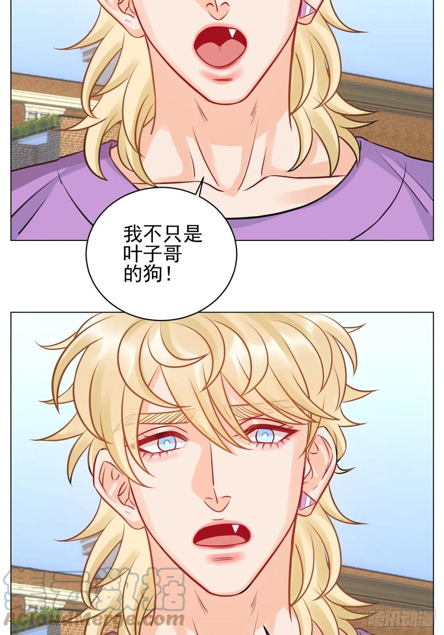 男生宿舍303 小巴奇怪的知识又增加了 第19页