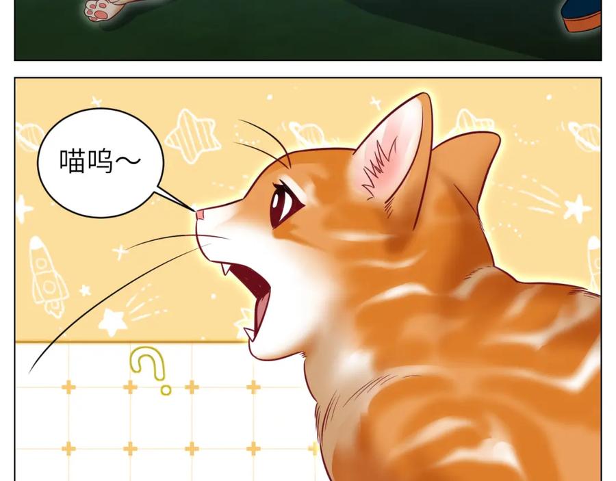男生宿舍303 找到的可不止小猫咪 第12页