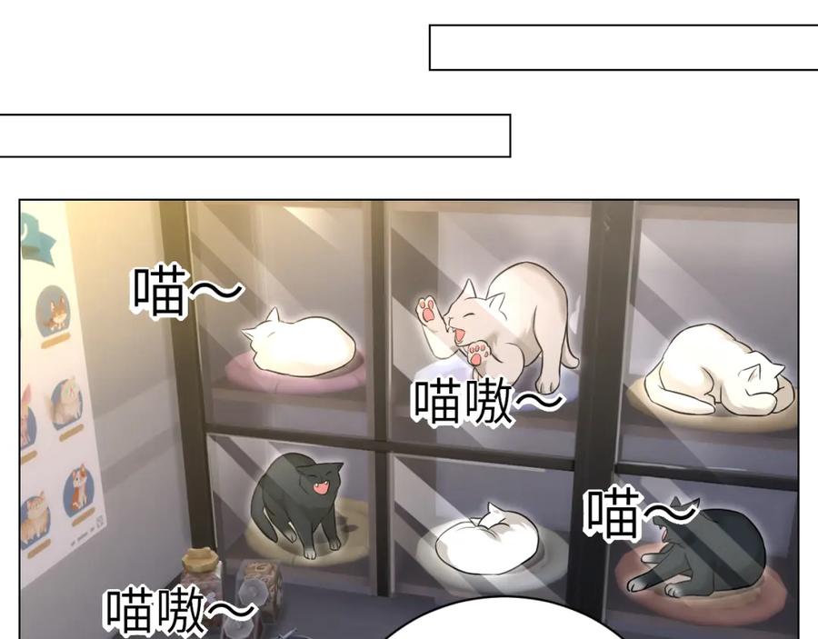 男生宿舍303 找到的可不止小猫咪 第24页