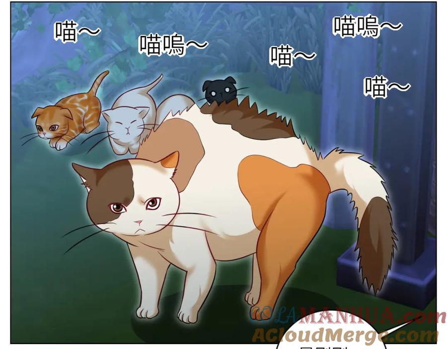 男生宿舍303 找到的可不止小猫咪 第15页