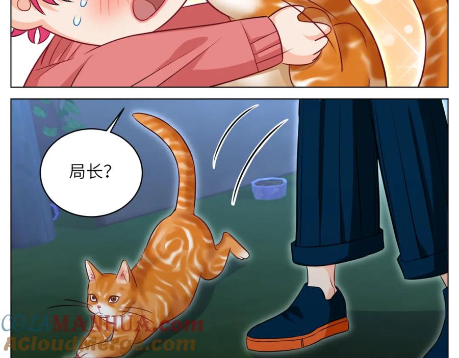 男生宿舍303 找到的可不止小猫咪 第11页
