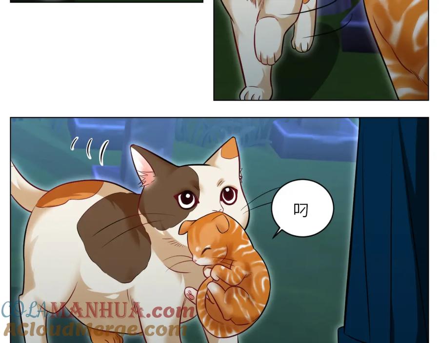 男生宿舍303 找到的可不止小猫咪 第17页