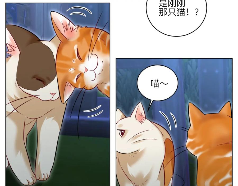 男生宿舍303 找到的可不止小猫咪 第16页