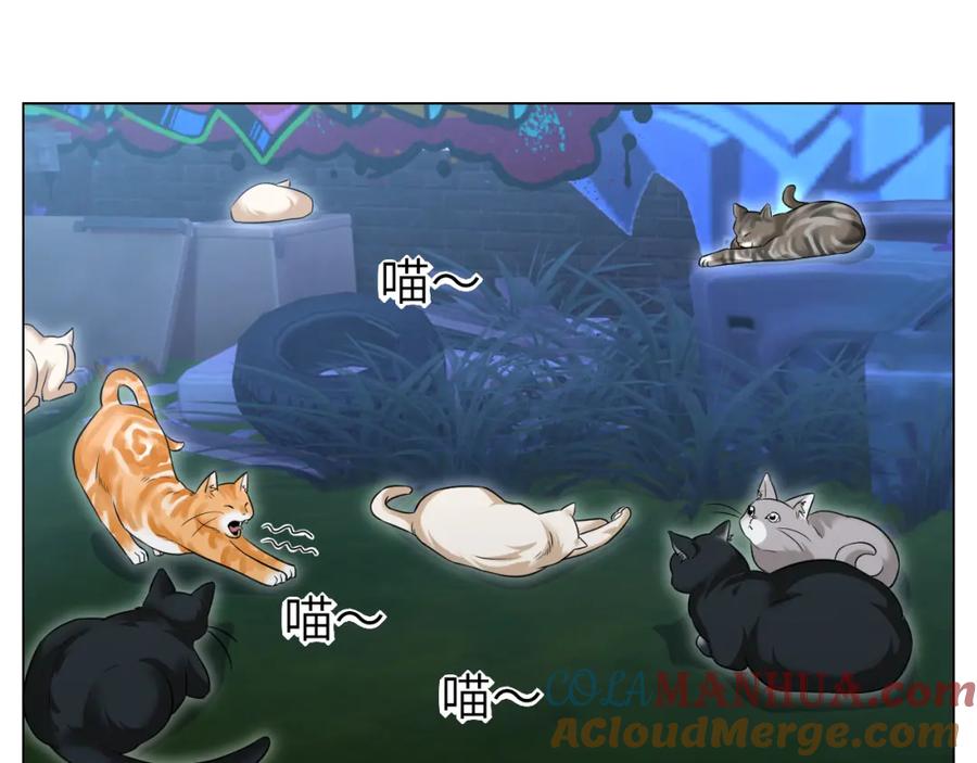 男生宿舍303 找到的可不止小猫咪 第3页