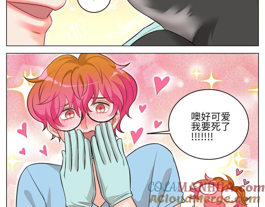 男生宿舍303 医生，你是不是在欺负我 第17页