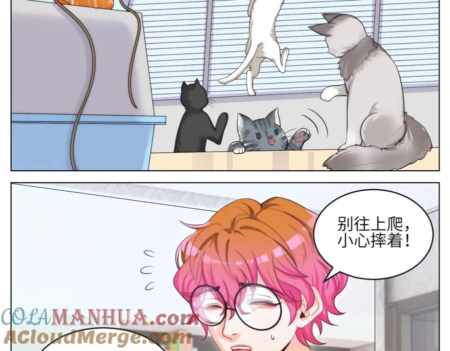 男生宿舍303 小猫咪们的小护士 第3页