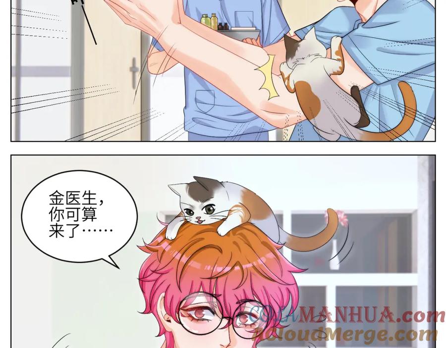 男生宿舍303 小猫咪们的小护士 第5页