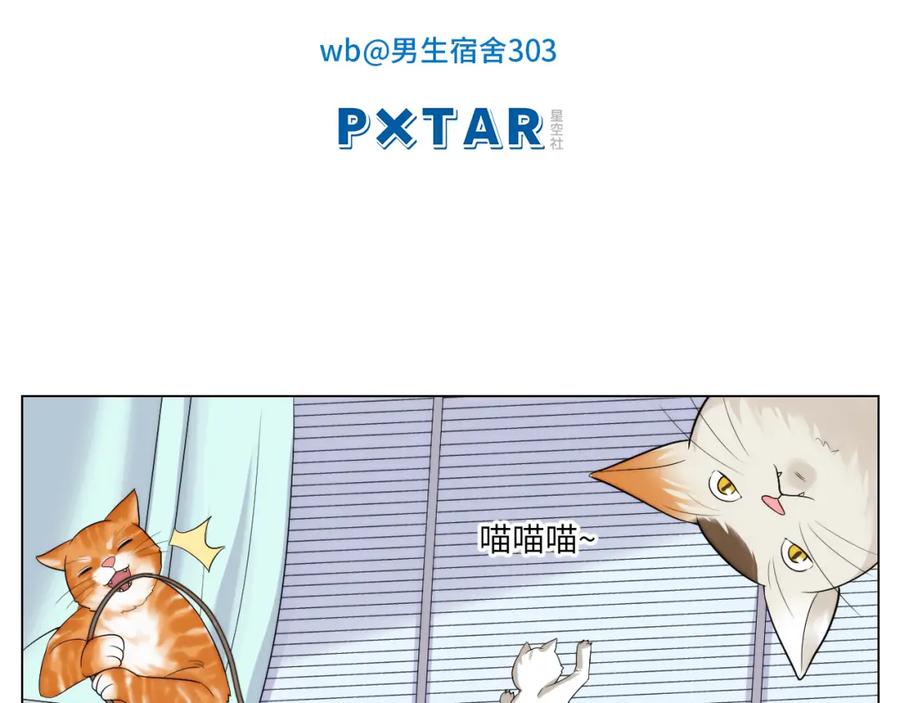 男生宿舍303 小猫咪们的小护士 第2页