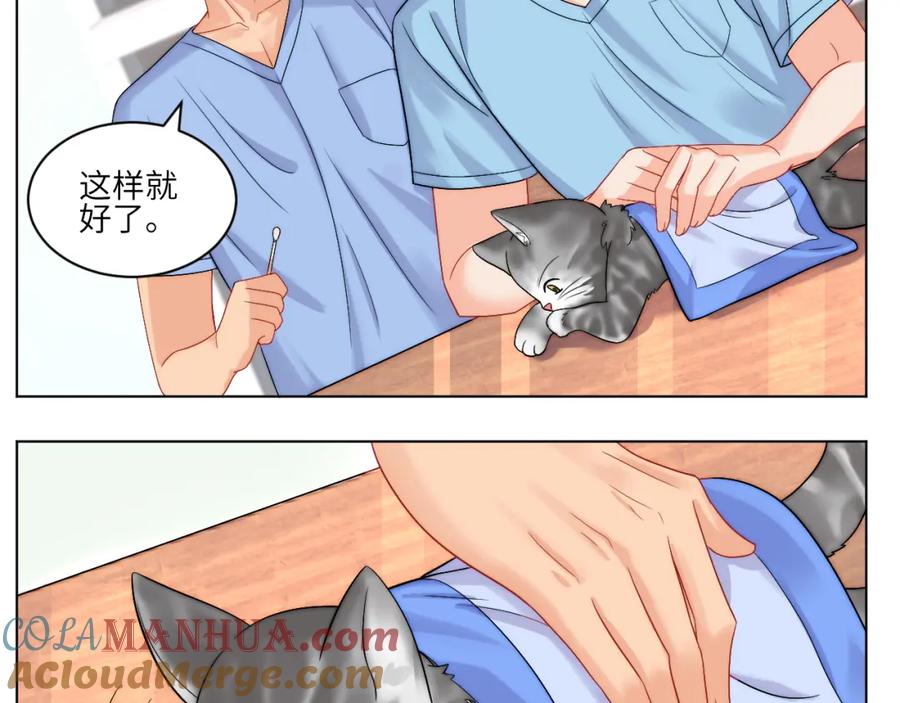 男生宿舍303 小猫咪们的小护士 第37页