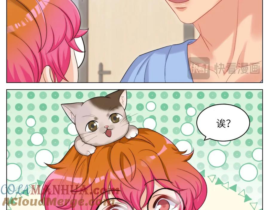 男生宿舍303 小猫咪们的小护士 第7页