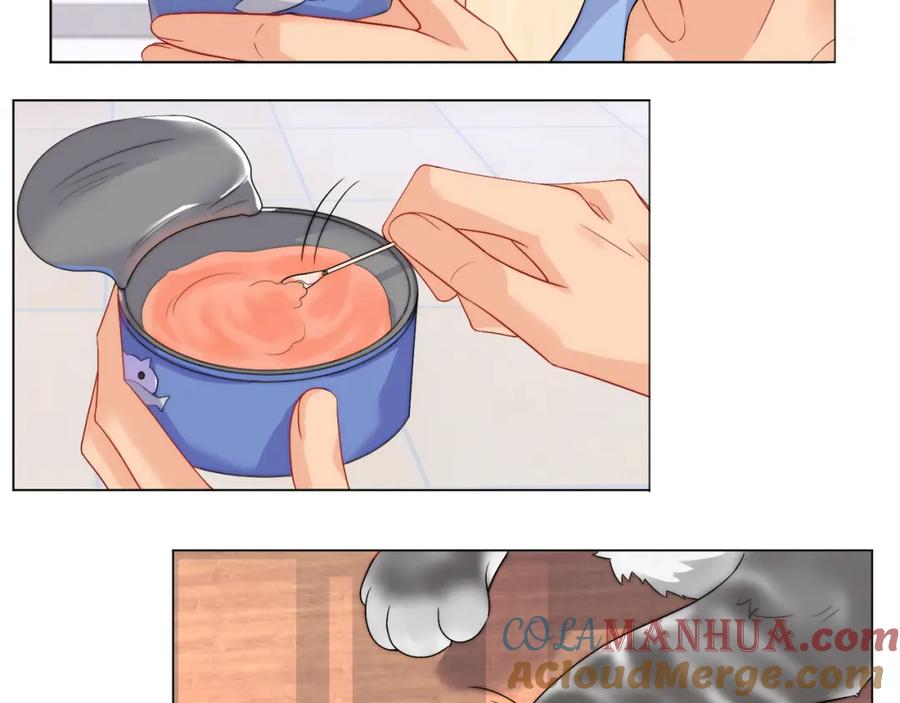 男生宿舍303 小猫咪们的小护士 第35页