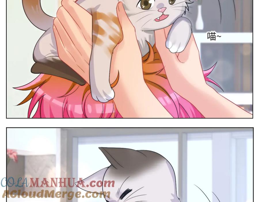 男生宿舍303 小猫咪们的小护士 第13页