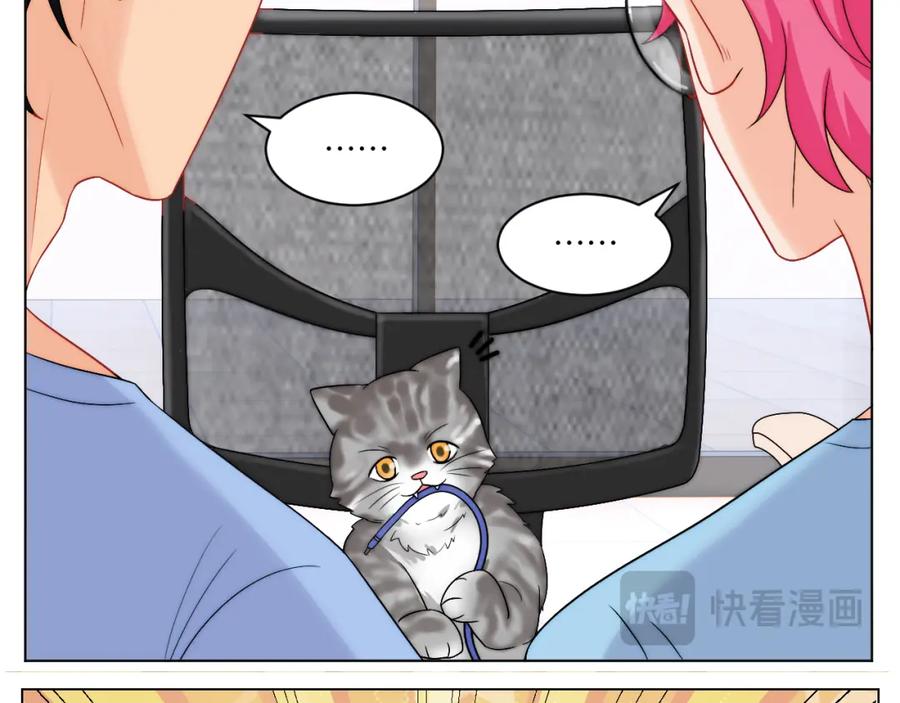 男生宿舍303 小猫咪们的小护士 第28页