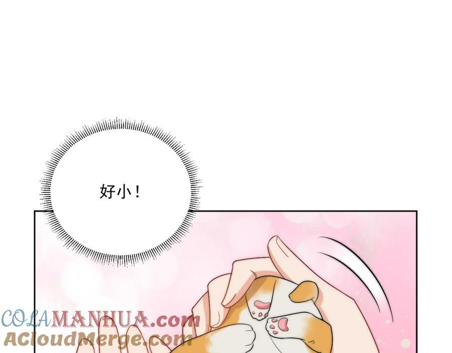 男生宿舍303 情况危急，先亲下去再说！ 第25页