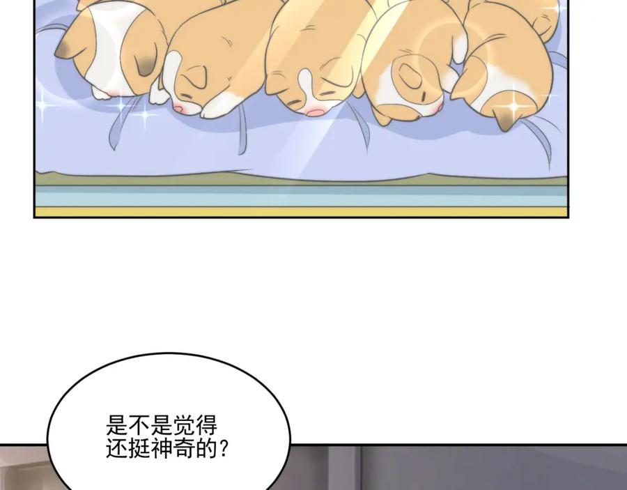 男生宿舍303 医生……我是不是发烧了 第2页