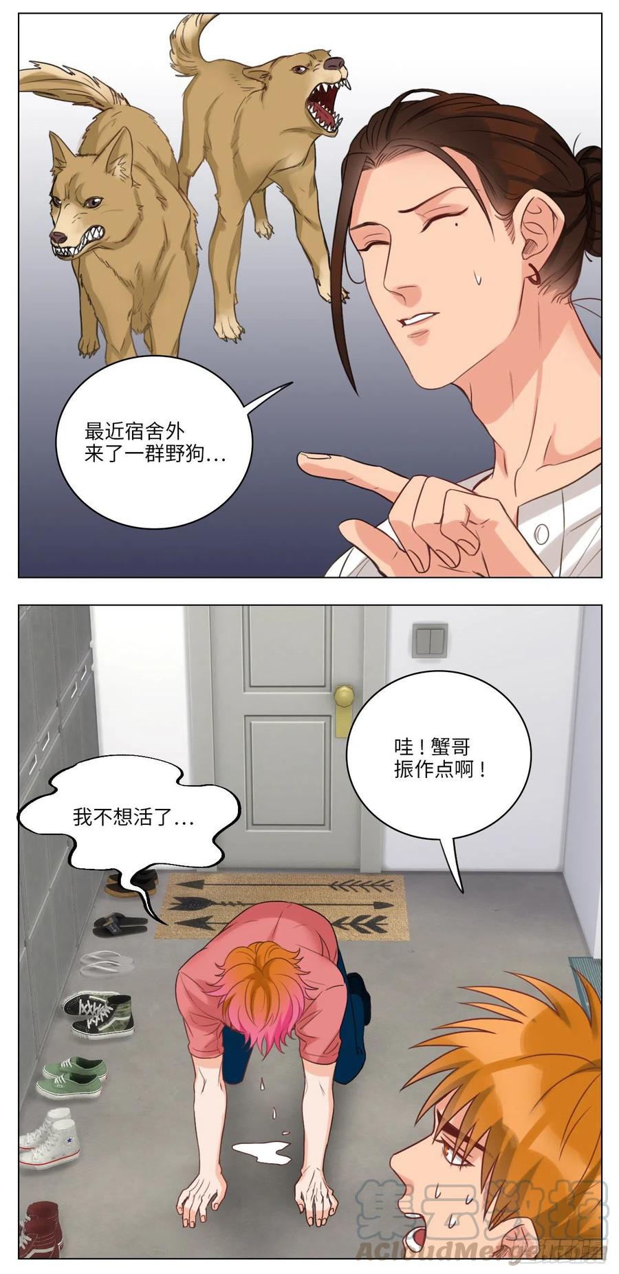 男生宿舍303 猫奴 第3页