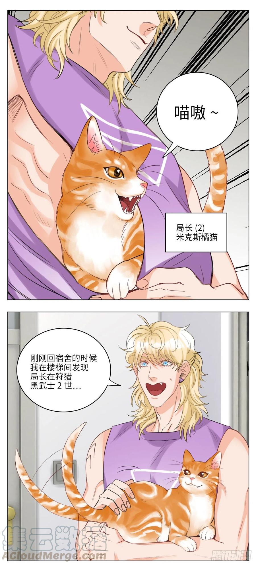 男生宿舍303 猫奴 第5页