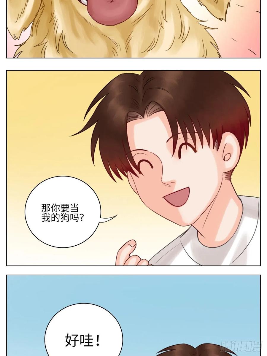 男生宿舍303 养狗现场 第10页