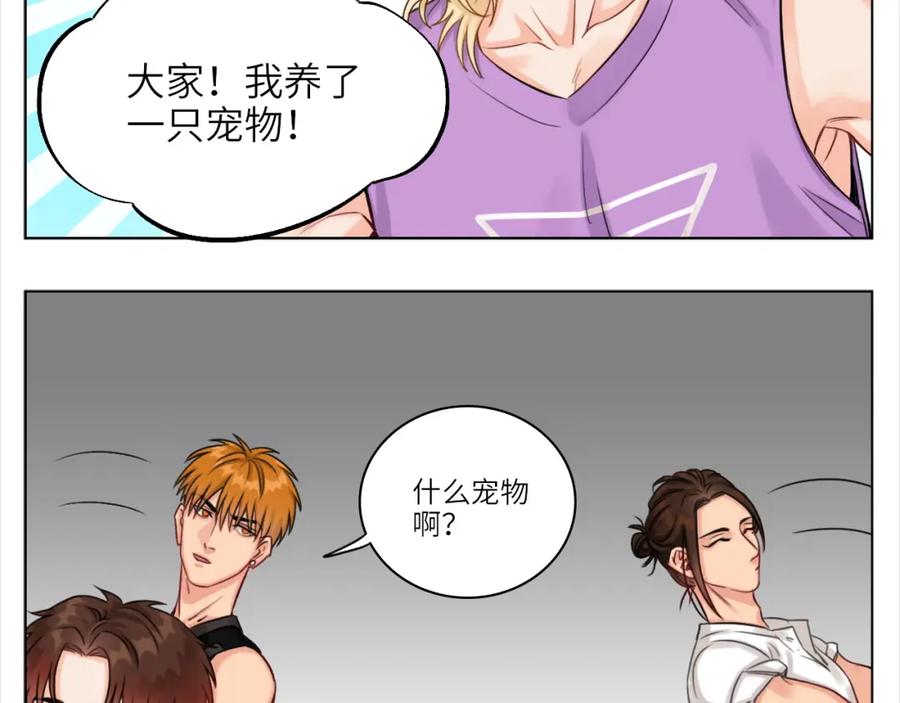 男生宿舍303 叶子哥的狗被欺负了！ 第3页