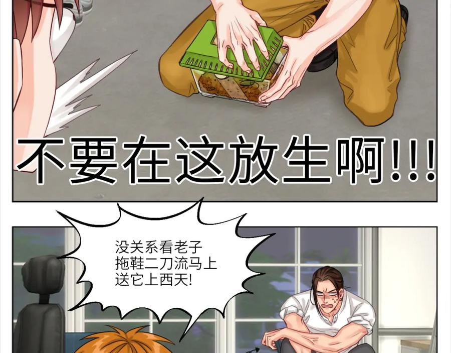 男生宿舍303 叶子哥的狗被欺负了！ 第11页