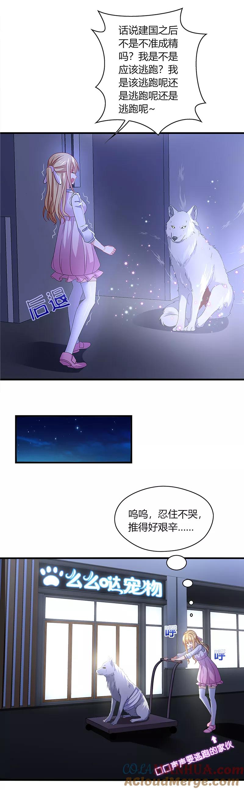 《男神很奇怪》第1话 天啊！爱豆变成萨摩耶？ 第13页