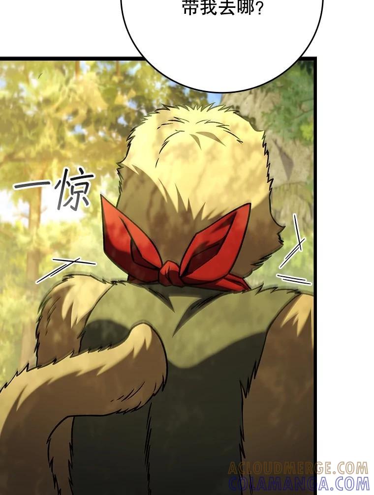 《噬龙魔法师》69.兽王的邀请 第5页