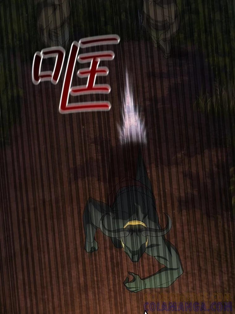 《噬龙魔法师》69.兽王的邀请 第69页