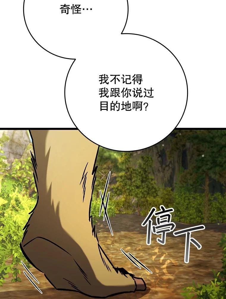 《噬龙魔法师》69.兽王的邀请 第8页