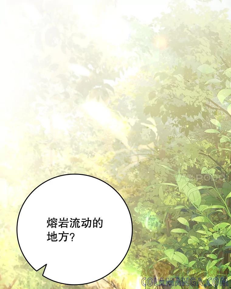 《噬龙魔法师》69.兽王的邀请 第37页