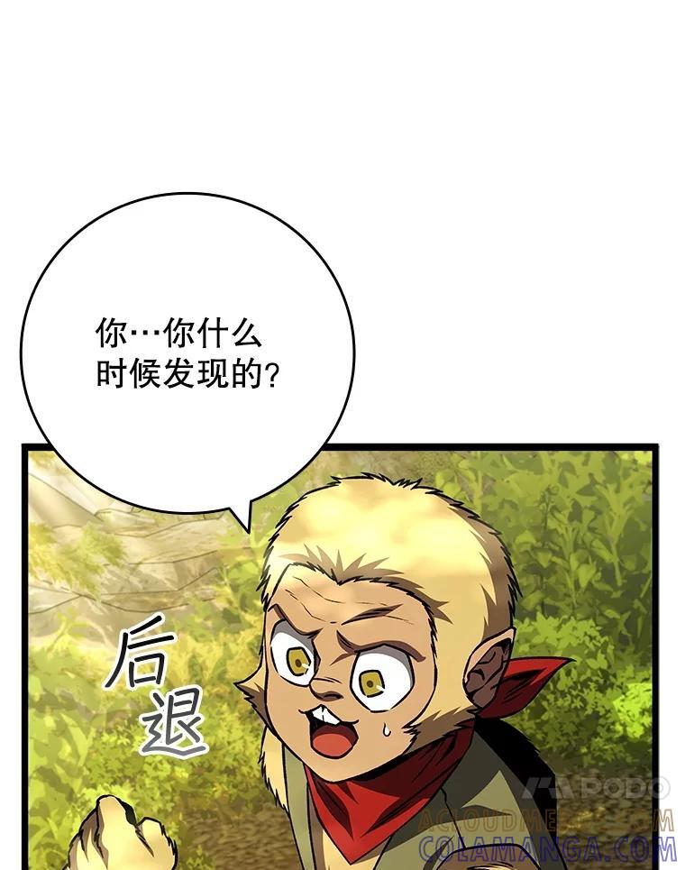 《噬龙魔法师》69.兽王的邀请 第13页