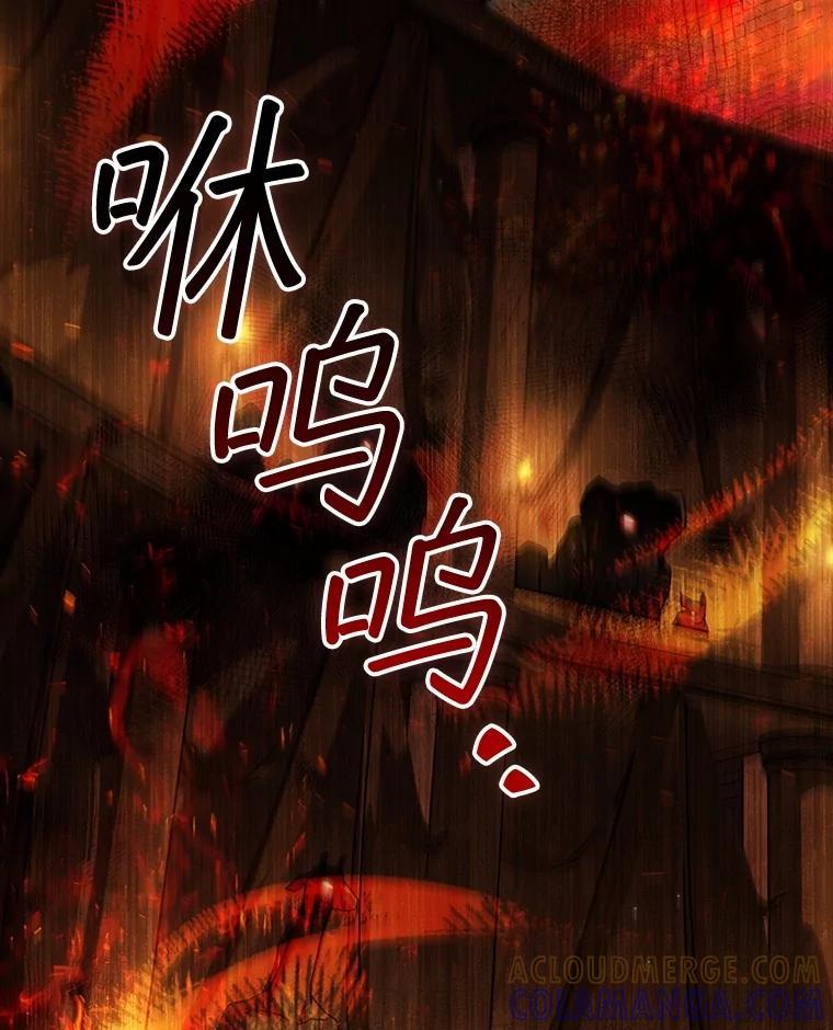 《噬龙魔法师》70.战士的试炼 第61页