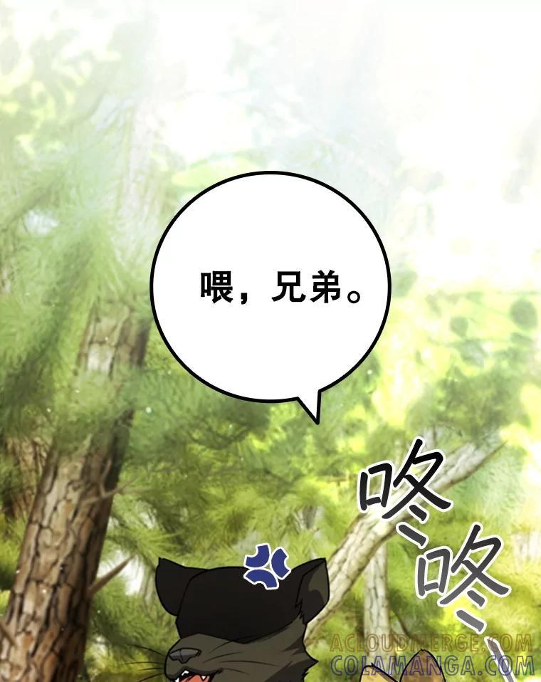 《噬龙魔法师》70.战士的试炼 第21页