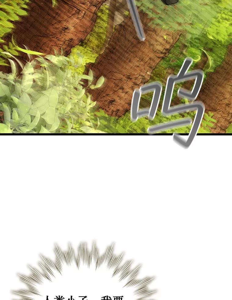 《噬龙魔法师》70.战士的试炼 第31页