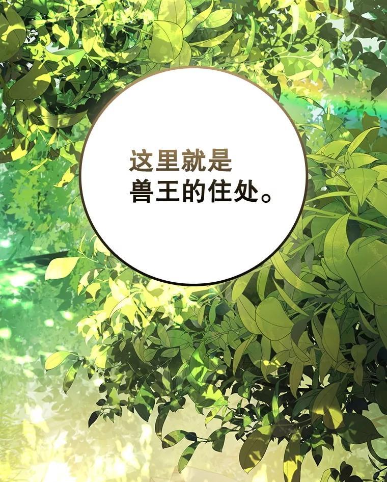 《噬龙魔法师》70.战士的试炼 第56页